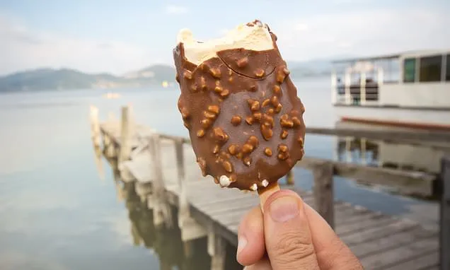 Magnum Magnum Ice Cream — 4ct to 3ct