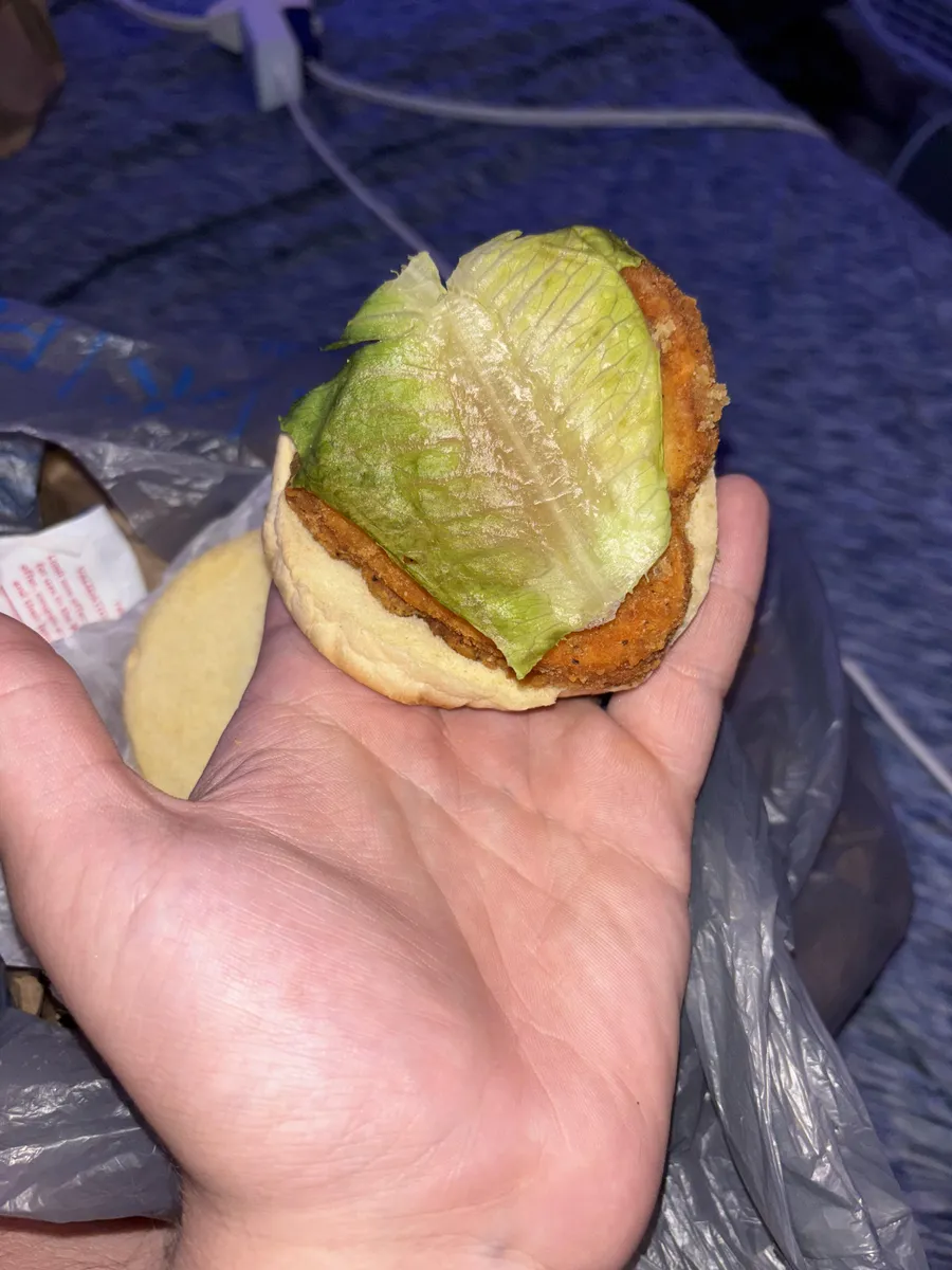 Wendy's Crispy Chicken Sandwich