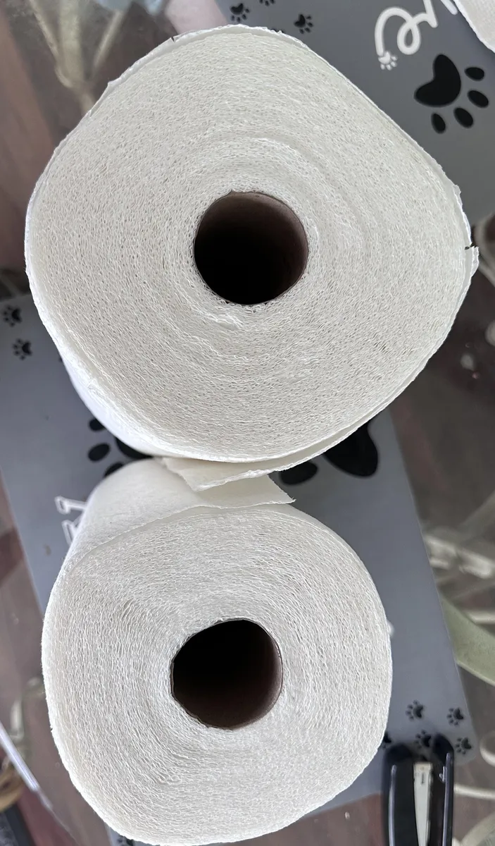 Bounty Paper Towel Roll