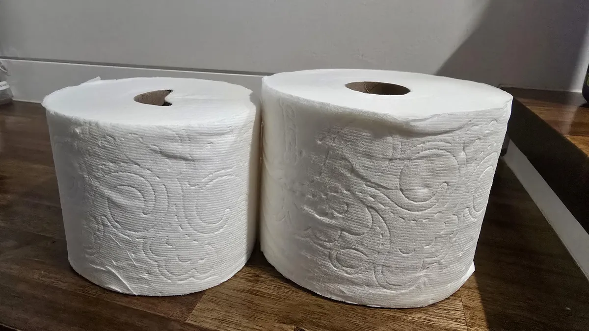 Charmin Mega Rolls