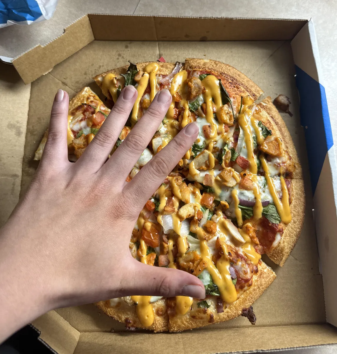 Domino's Large Pizza